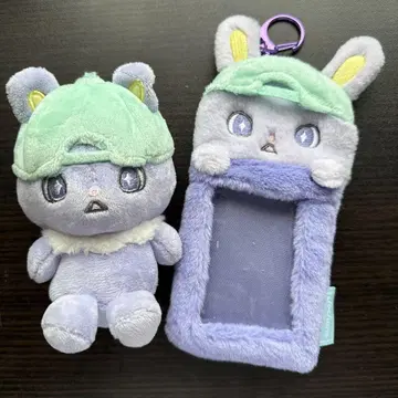JO1 제오참 치마타