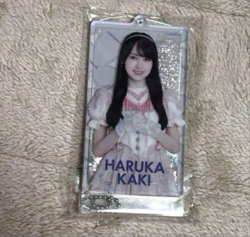 노기자카46 카키 하야카 2025 럭키백 젤이 들어있는 키링