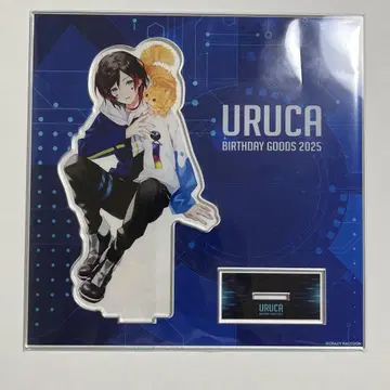 Crazy Raccoon uruca 우루카 생일 아크릴 스탠드