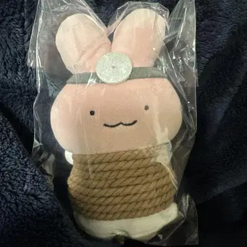 화이트 타이거와 블랙 타이거 마스코트 (도망치는 토끼 선생님)