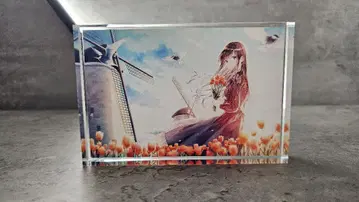 후미 아크릴 오너먼트