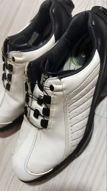 FJ 골프화 다이얼 25cm 남성용