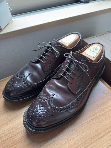 알든 975 롱 윙 코도반 발리 라스트 US9.5D만