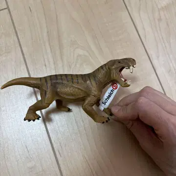 슐라이히 공룡 디노고르곤