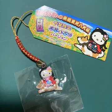 지역 키티 사토미 하치켄덴 치바