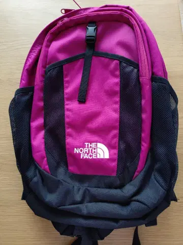THE NORTH FACE 백팩 새상품 핑크/블랙
