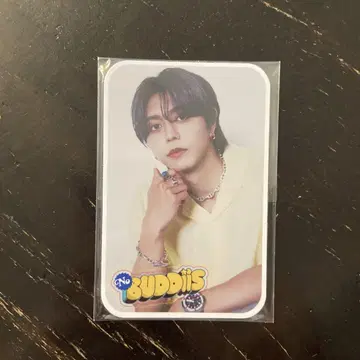 No BUDDiiS SEIYA 카드 거울 사진