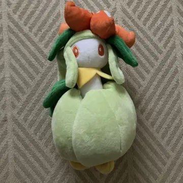 포켓몬 드레디아 봉제 인형