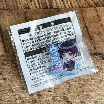 aespa 이름 아크릴 배지 남코 한정판 윈터