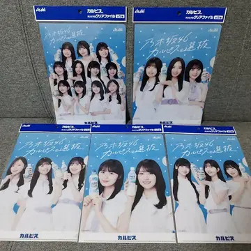 아사히 노기자카46 칼피스 B5 클리어 파일 전 5종