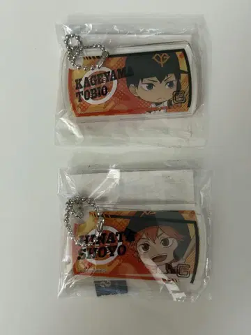 카게야마 토비오 히나타 쇼요 자이언츠 키링