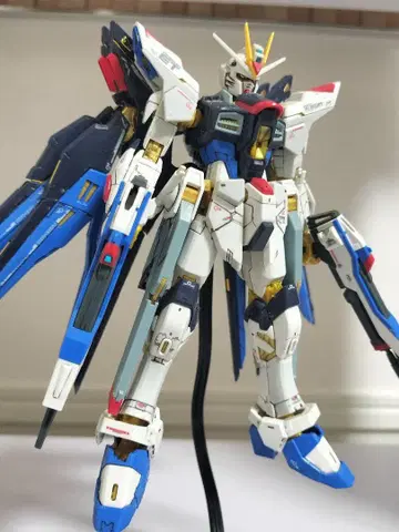 RG 스트라이크 프리덤