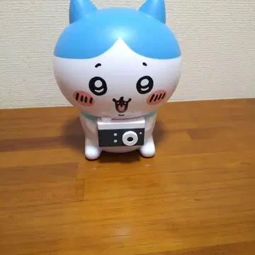 귀여운 사진 찍을게요!