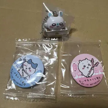 치이카와 쿠라스시 콜라보 치이카와 하치와레 모몽가