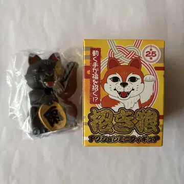 만위즈, 부르는 늑대, 카미카제 보이, 비