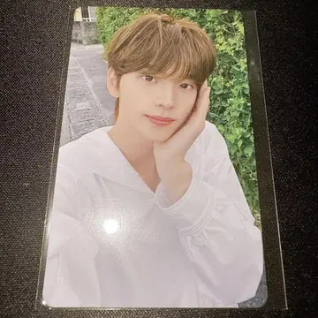 TWS 시뉴, 처음 뵙겠습니다, weverse 럭키 드로우