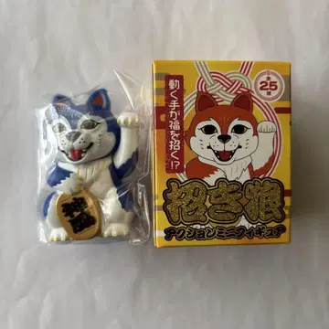 만위즈, 부르는 늑대, 카미카제 보이, 신풍