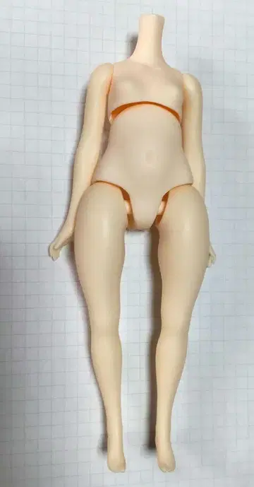 니아 하모니아 바디