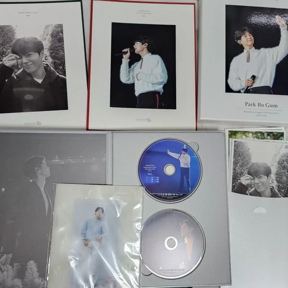 パクボゴム Park Bo Gum Fanmeeting DVD 2017 パクボゴム2017
