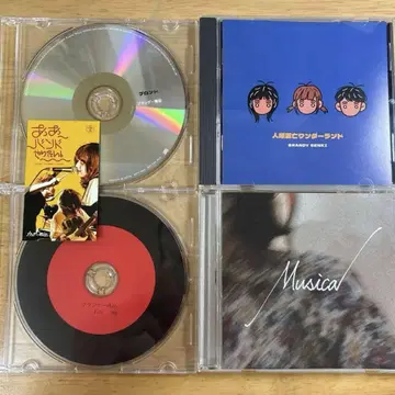 브랜디 전기 Musica/Kids/인류 멸망 원더랜드/금발