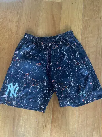 APPLEBUM NY Yankees 반바지. 레어.