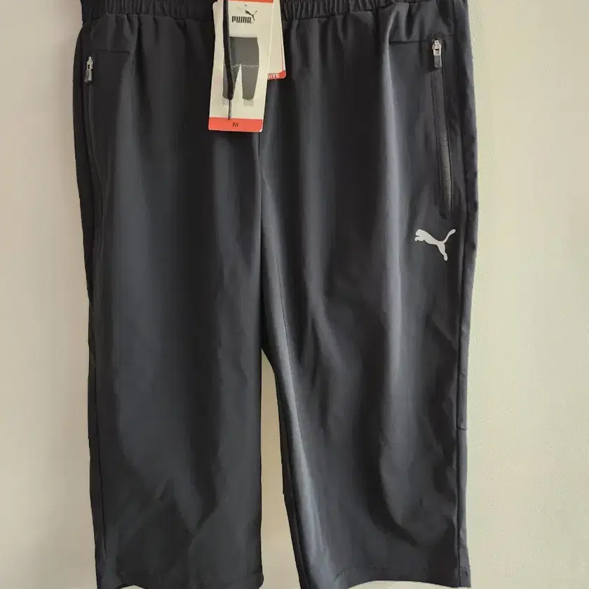 PUMA 푸마 Authentic New Puma Shorts m on Bunjang Global