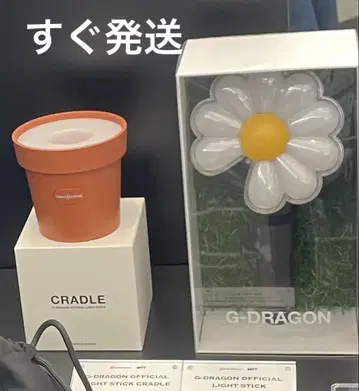 GD 지용 응원봉 화분 CRADLE 세트