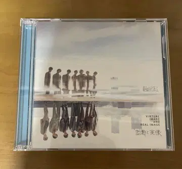 허상과 실상