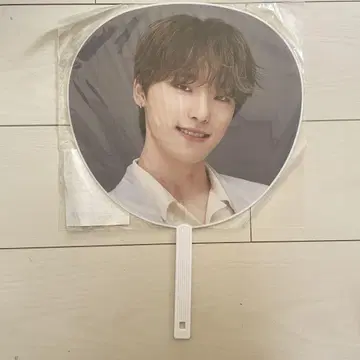 DINO SEVENTEEN "HARE" 부채