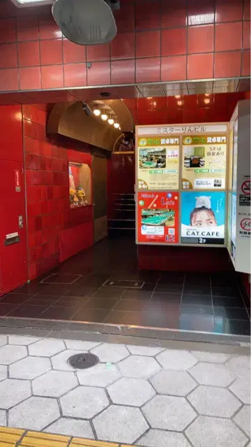 내가 시구레이다! 가면 새상품