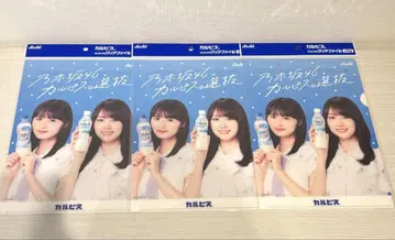 노기자카46 카르피스 클리어 파일 카키 하야카 엔도 사쿠라 3매 세트