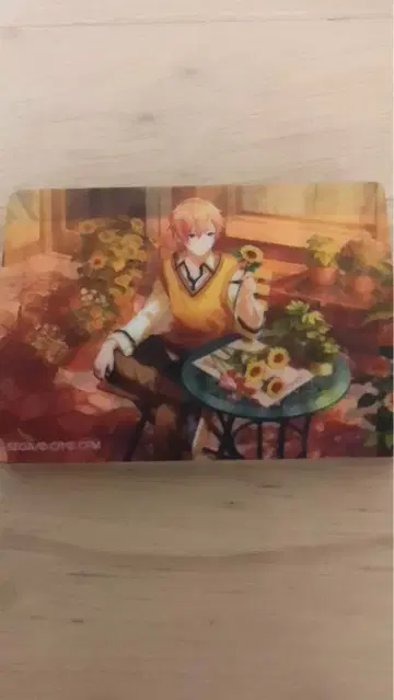 프로세카 노블 아트 아키토 시노노메 vol.44