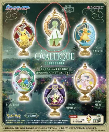OVALTIQUE COLLECTION 서 나이트
