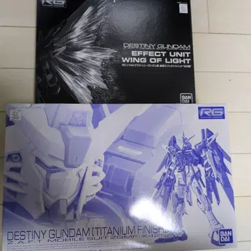 DESTINY GUNDAM TITANIUM FINISH 1/144