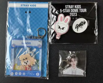 Straykids 스키즈 리노 Lee 러버 클립 키링