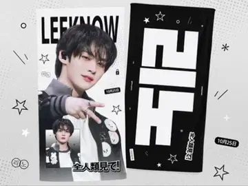 straykids 흠집 슬로건 리노