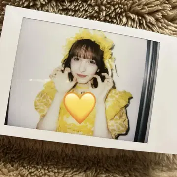 후루파 하야세 노엘 폴라로이드