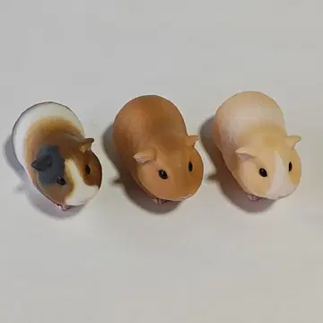 테노리 프렌즈 모르모트 3종