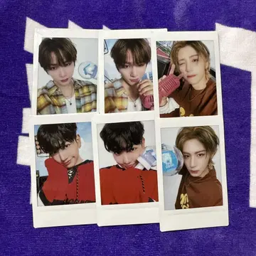 보이넥 폴라로이드