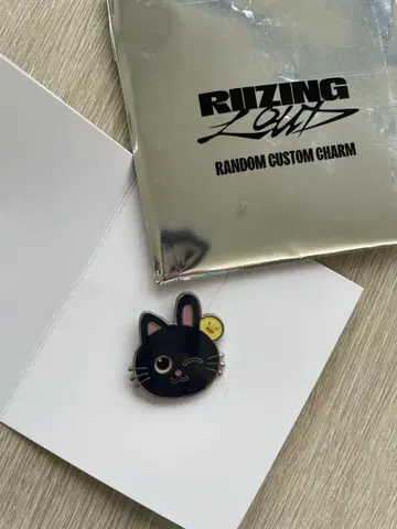 RIIZE 랜덤 커스텀 참 원빈