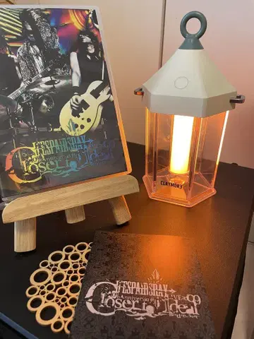 D'espairsRay 10th LIVE DVD V계 비주얼계 단종