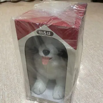 미개봉 봉제 인형 이로하 sumika 개 dog