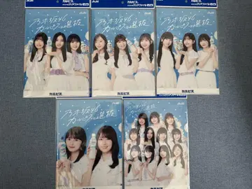 아사히 노기자카46 칼피스 B5 클리어 파일 전 5종