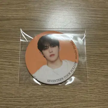SEVENTEEN 세부치 에스크 캔뱃지