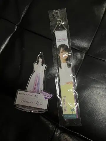 카키 하야카 아크릴 스탠드 & 키링