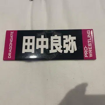 드래곤 게이트 다나카 요야 이름 캔뱃지