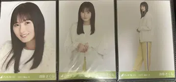 노기자카46 브로마이드 엔도 사쿠라 인조 모피 컴프