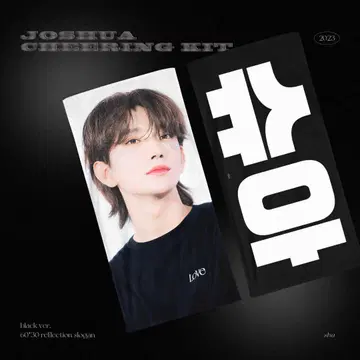 세븐틴 세부치 슬로건 조슈아