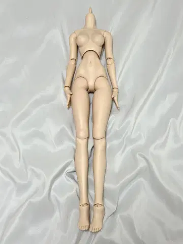돌피드림 DD 프레쉬 바디 딜러님 가공 완료