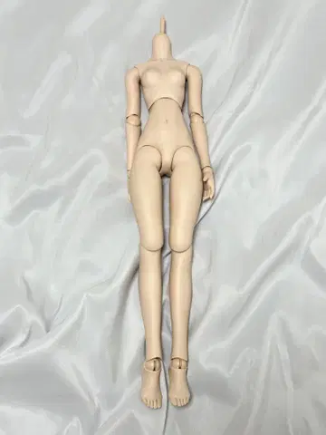 돌피드림 DDS 프레쉬 바디 딜러님 가공 완료
